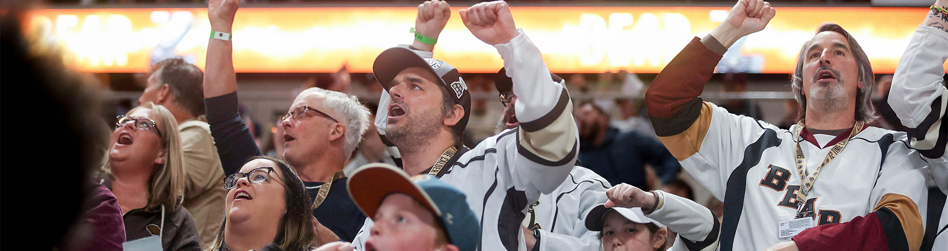 Fans watching a Hershey Bears game